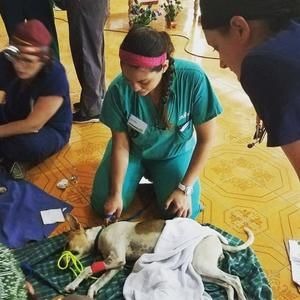 Meet your Posher, Ruby